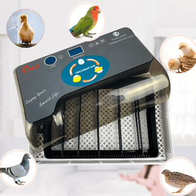 Automatic Eggs Incubator Digital Temperature Control Chicken Brooder - Amazing gizmos
